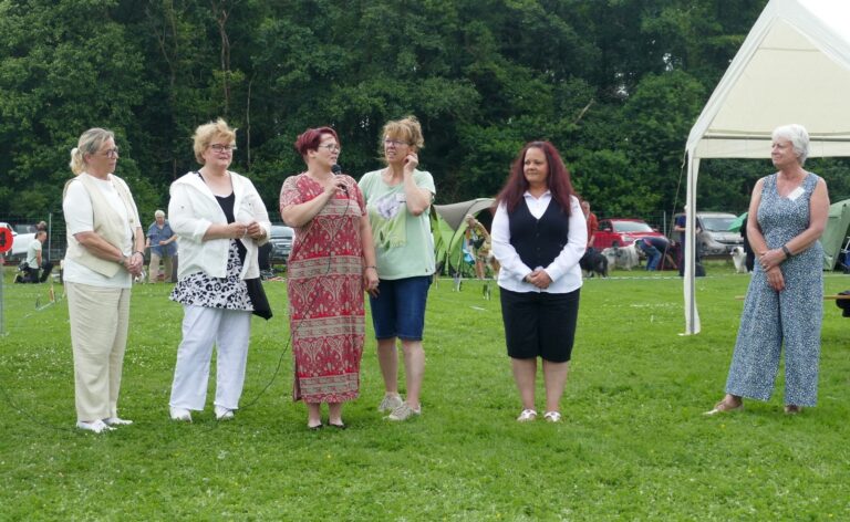 66. Niedersachsenschau 2025