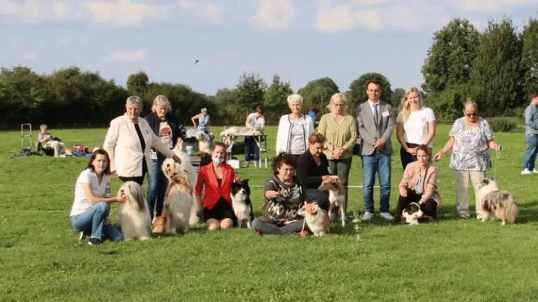 62. Niedersachsenschau 2021