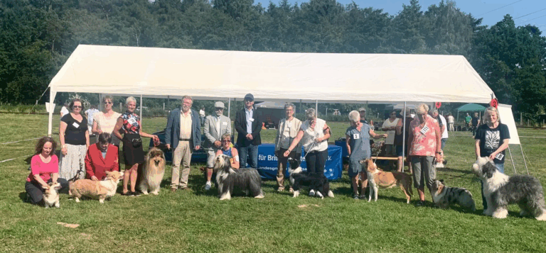 64. Niedersachsenschau 2023