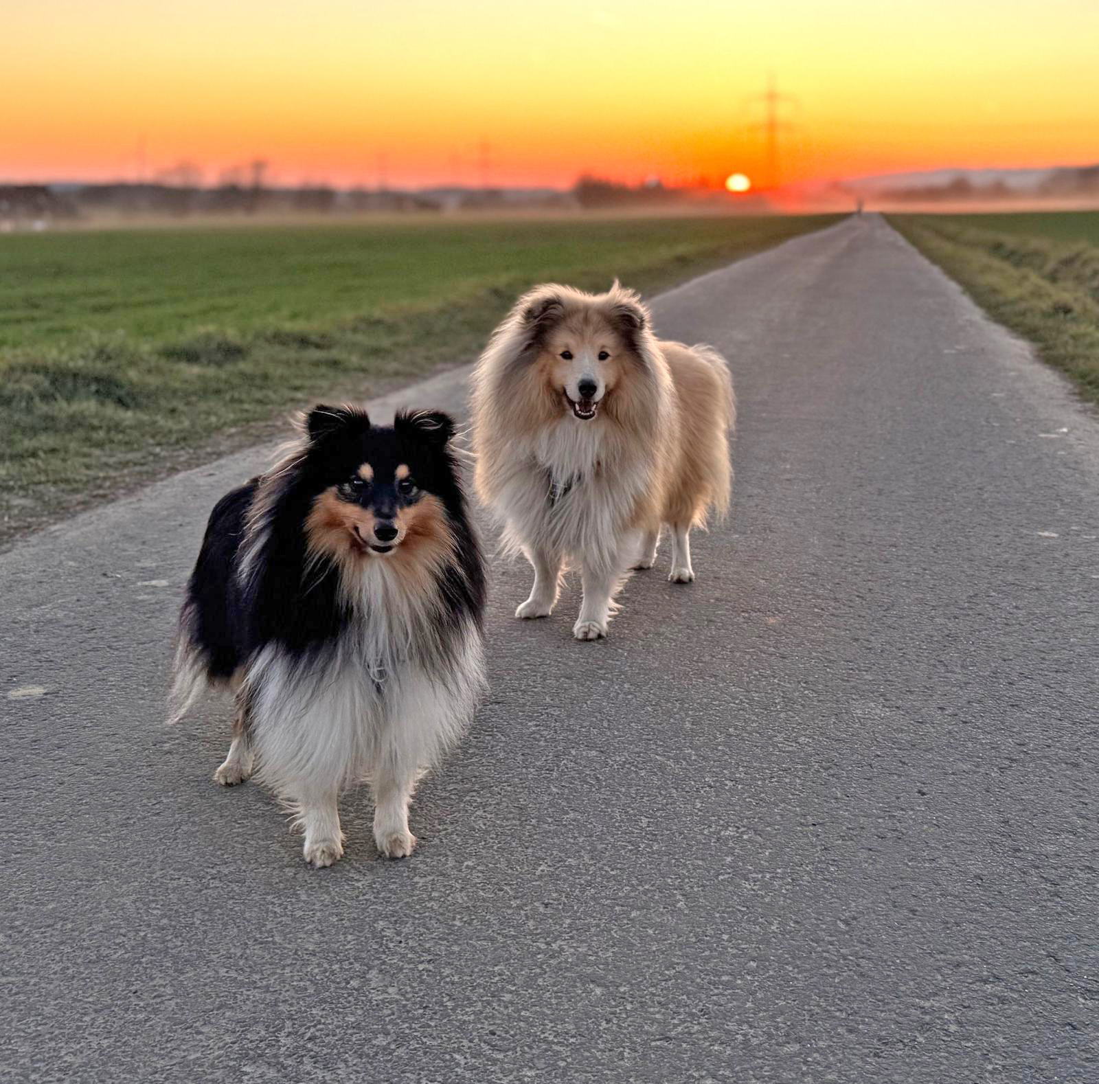 IMG-20250320-Jedi und Ennoa